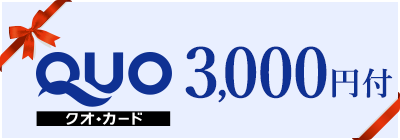 クオカード¥3,000付