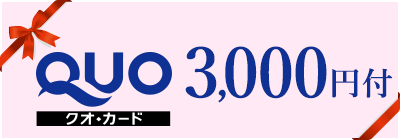 クオカード¥3,000付